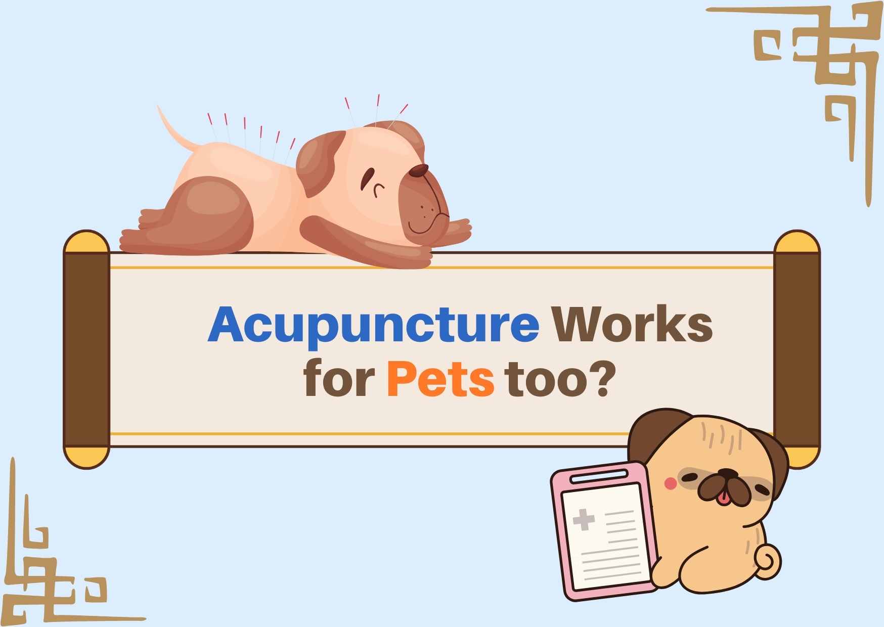 Did you know acupuncture works for pets too? Dr. Ying-Ting Chien explains "How to Address Joint Issues"