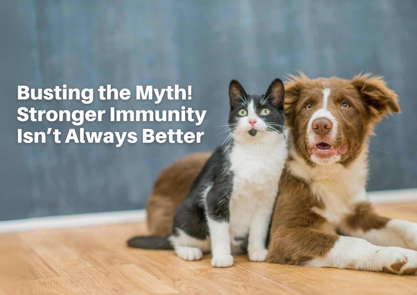 Busting the Myth! Stronger Immunity Isn’t Always Better—Balance Is Key to Health
