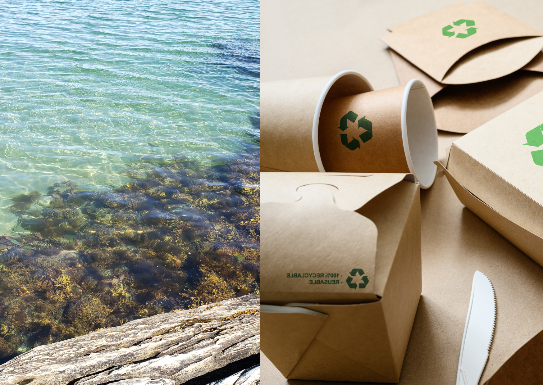 Pioneering Sustainability: Seaweed Replacing Plastic Packaging