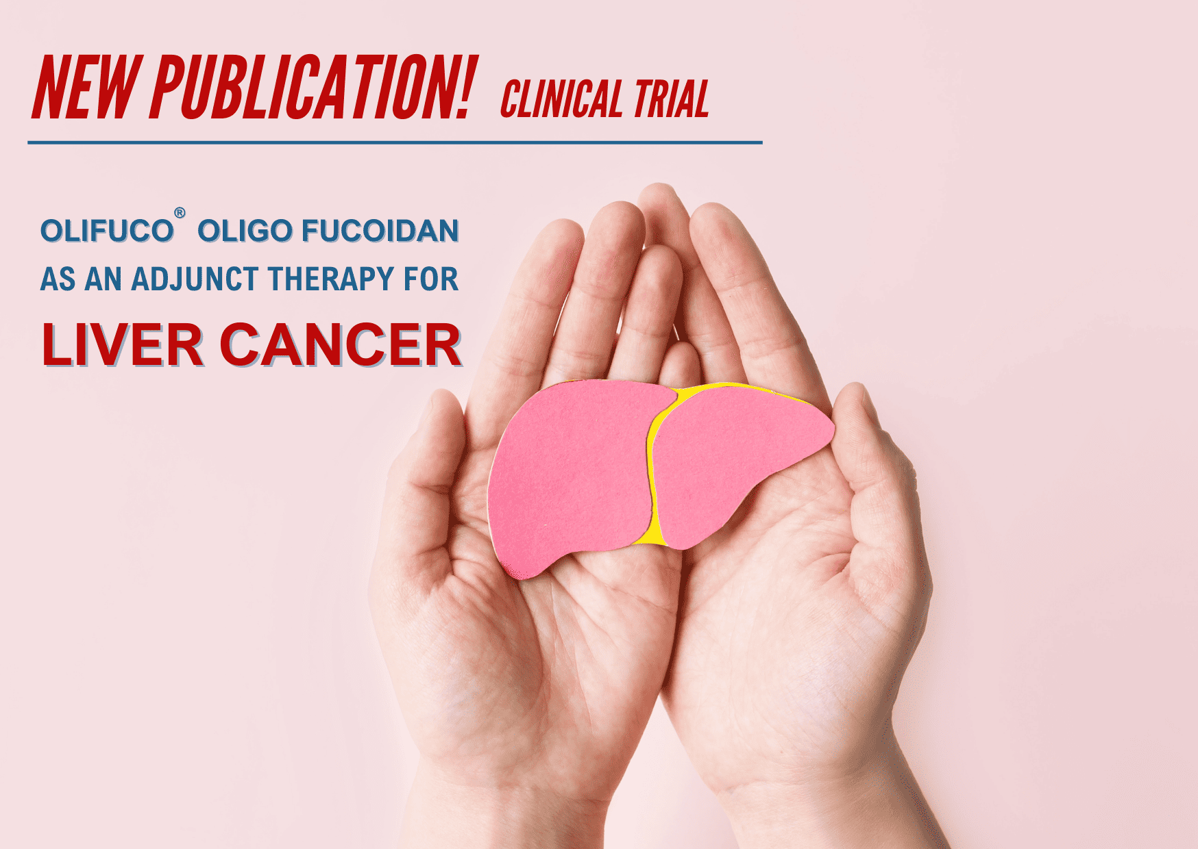 Low Molecular Weight Fucoidan Enhances Liver Cancer Treatment: New Clinical Evidence Shows Improved Tumor Control and Liver Protection