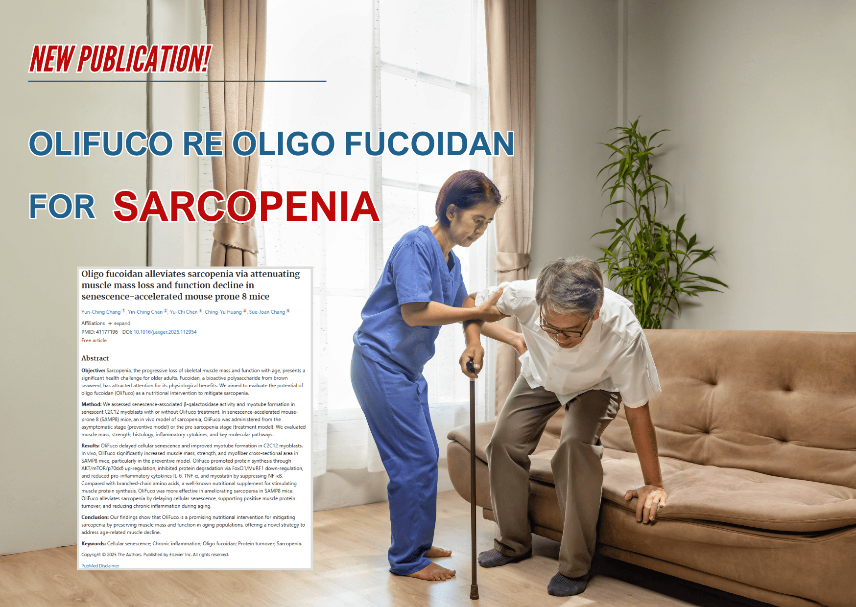 A New Hope for Preventing Muscle Loss: Oligo Fucoidan (OliFuco® RE) as a Promising Strategy Against Sarcopenia