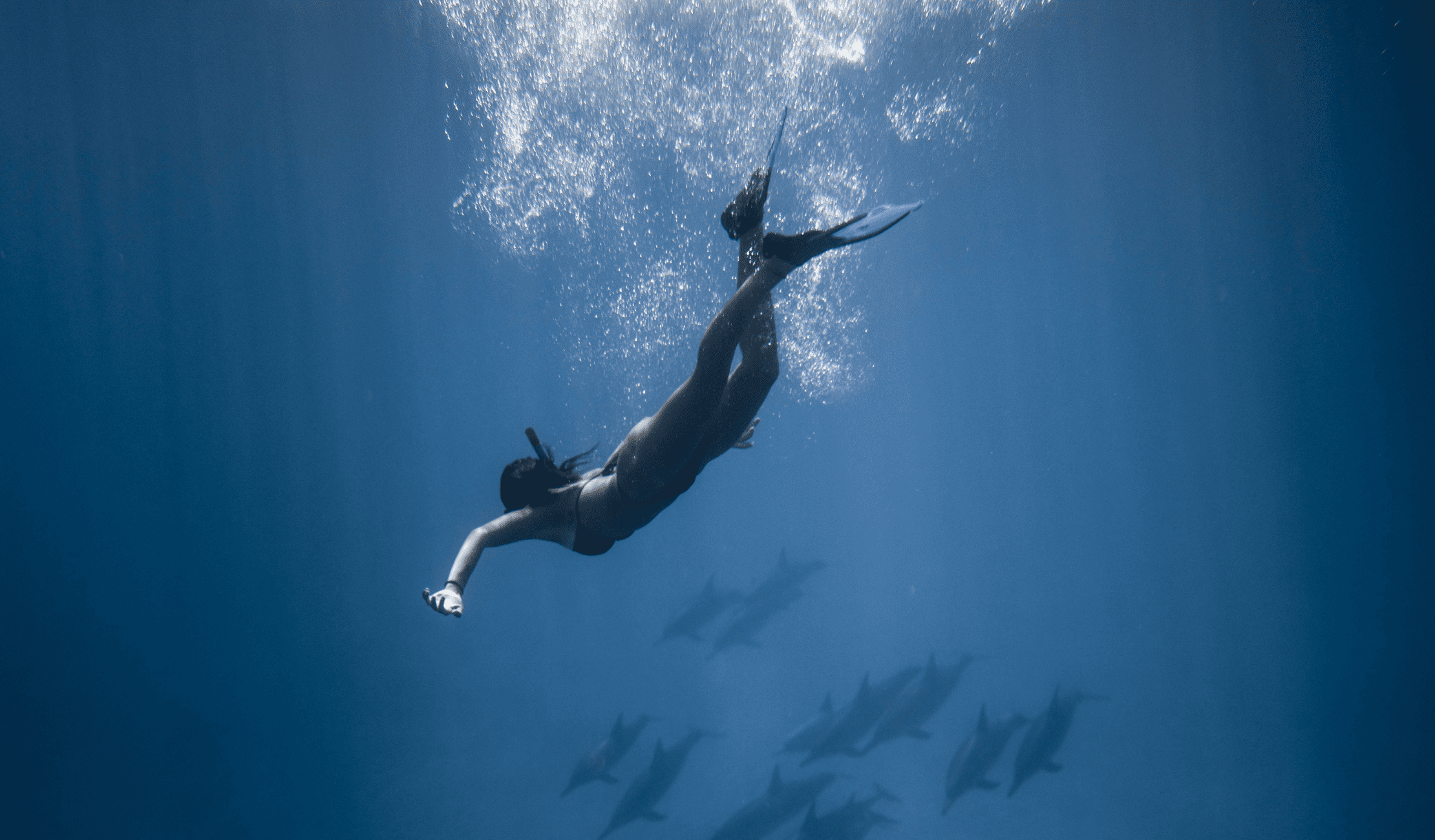 Ocean-Inspired Science-From Source of Life to Our Beauty and Wellness