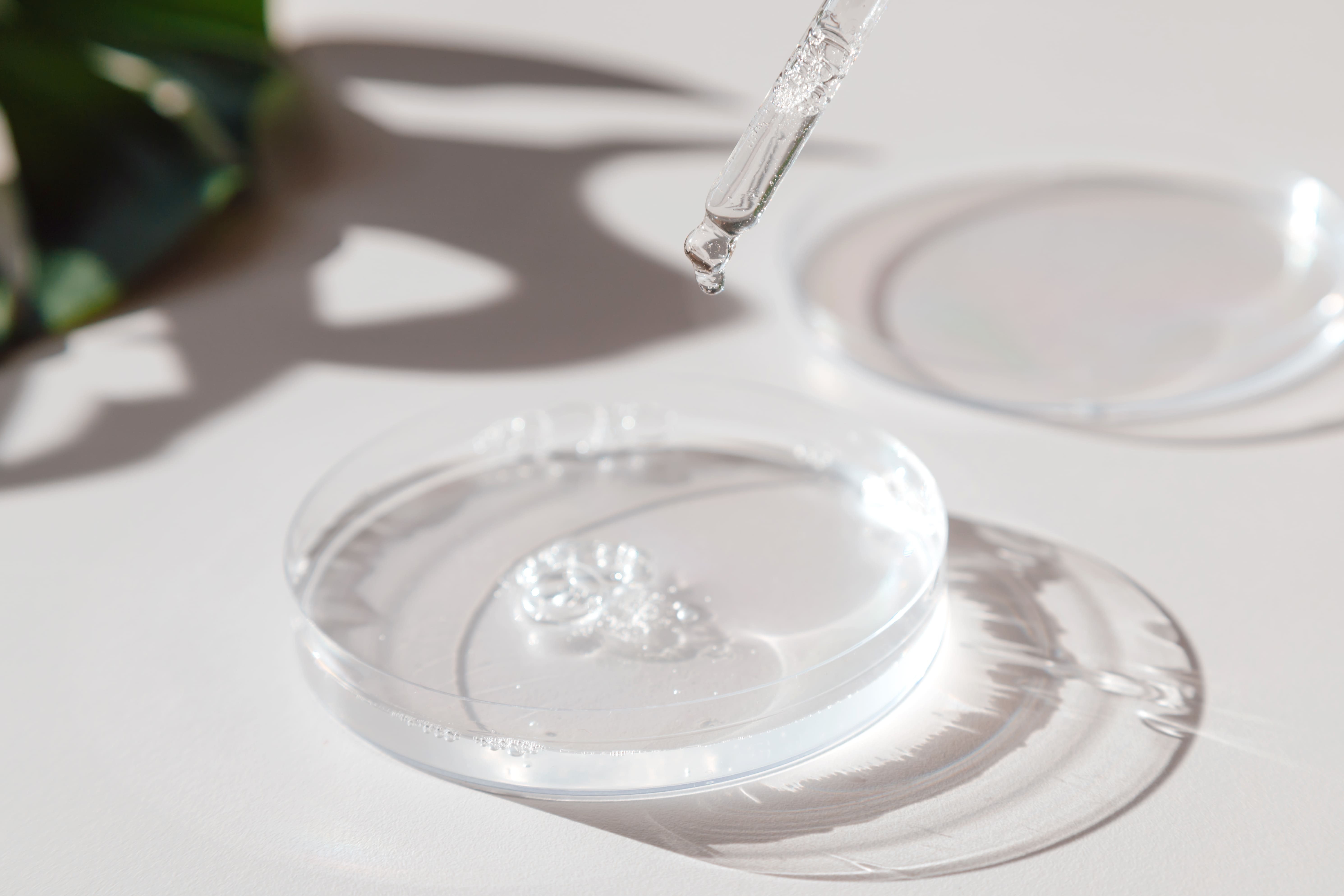 Fucoidan Powder Supplier by Hi-Q Marine Biotech International Ltd.