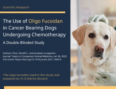 Breakthrough Study Shows Oligo Fucoidan Enhances Quality of Life in Dogs with Cancer Undergoing Chemotherapy