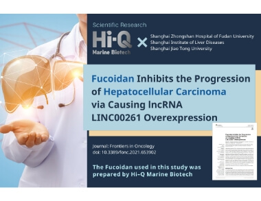 Hi-Q and Shanghai Researchers Unveil Fucoidan's Promising Role in Halting Hepatocellular Carcinoma Progression